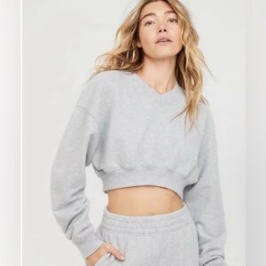 aerie Offline Light Gray Cropped Sweatshirt